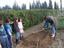 Preparação do terreno para colocação de diferentes sementes